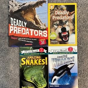 Lot of childrens books